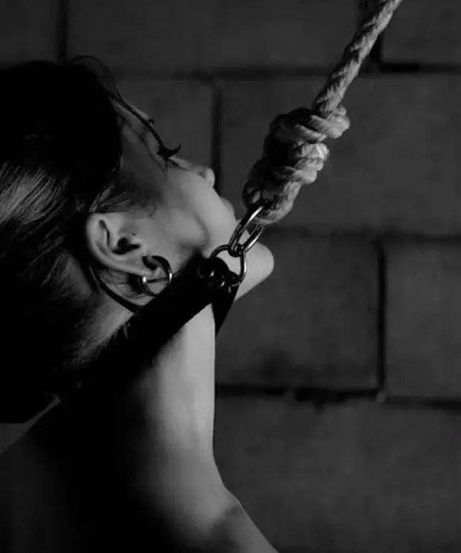 西檬之家K9犬系是什么?揭开字母圈中的这一独特文化 一