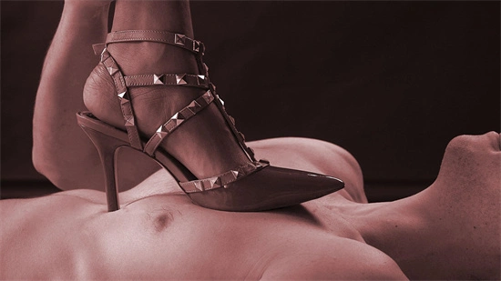 西檬之家s属性:如何理解与探索在字母圈中的深层关系? 一