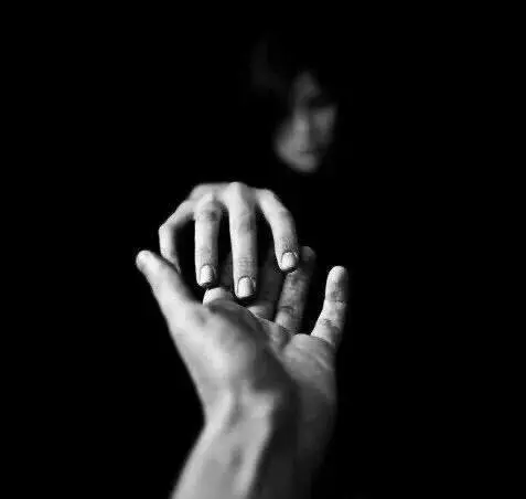 西檬之家k9犬系文化的发展与未来展望 一