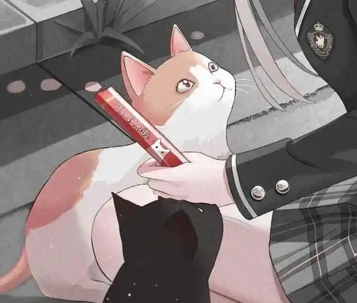 西檬之家s属性是什么?深入了解字母圈的支配与臣服关系 一