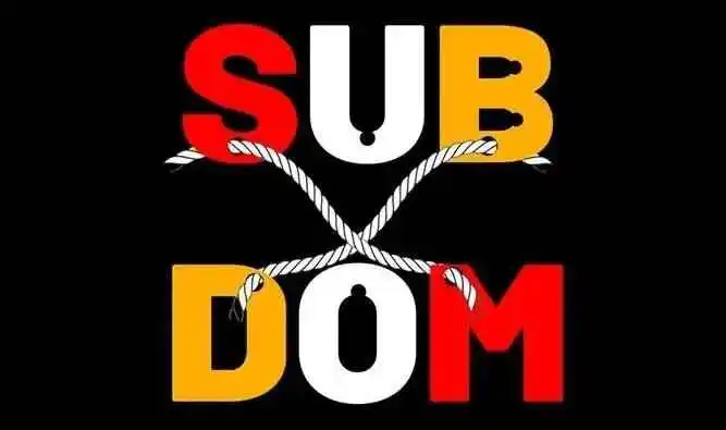 西檬之家字母圈的大圈是什么?理解它的意义与影响 一