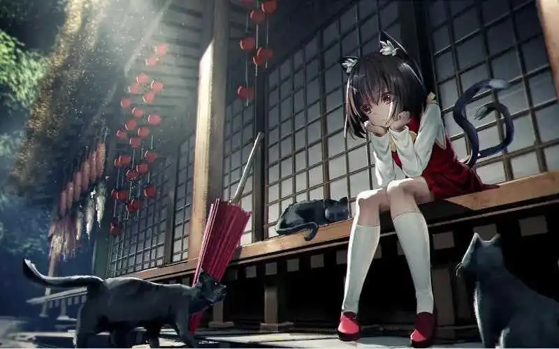 西檬之家字母圈入圈指南:新手必知的基础知识与注意事项 一