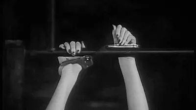 西檬之家字母圈的小圈是什么?揭秘亚文化的奥秘 一