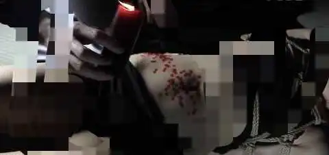 西檬之家字母圈入圈指南:新手必读的安全与沟通技巧 一