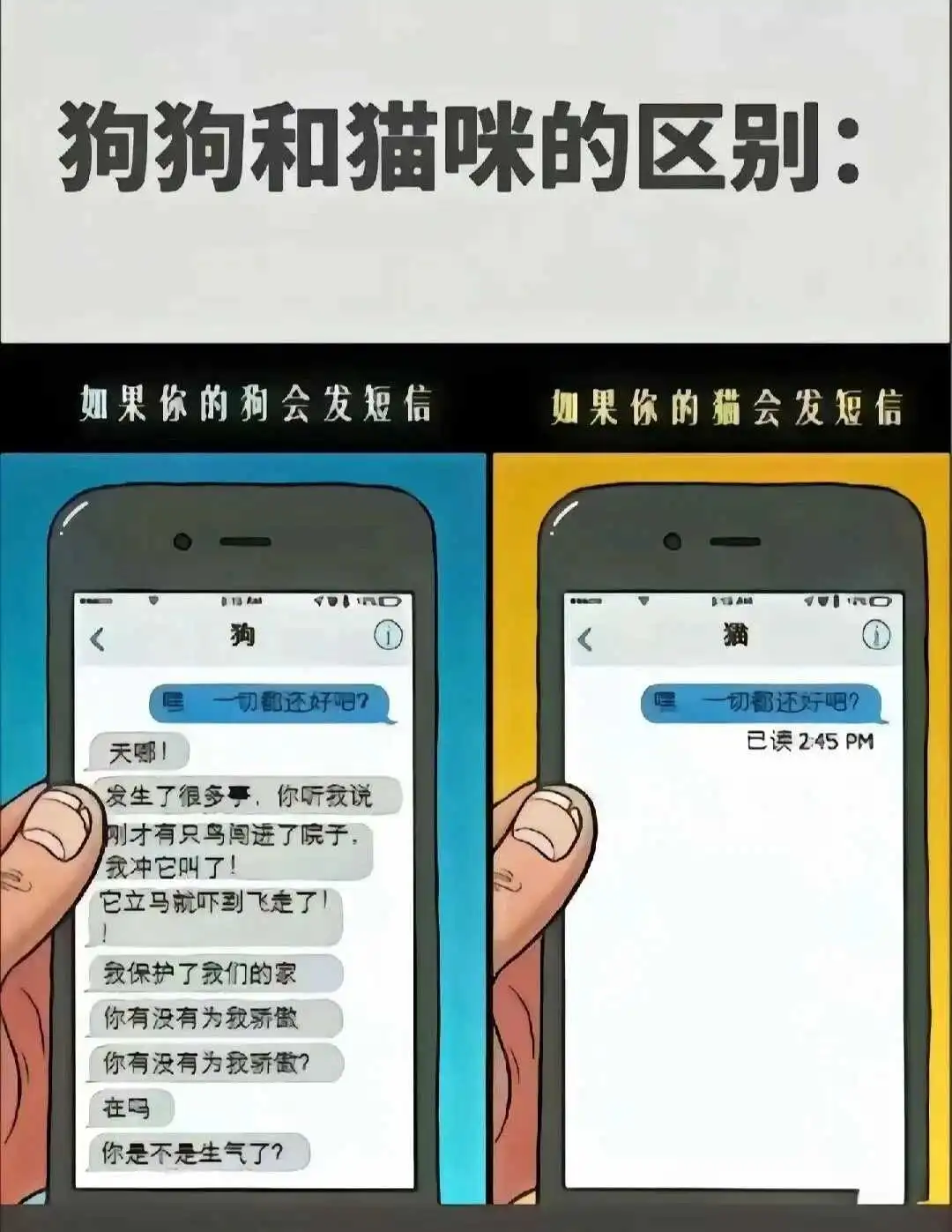 西檬之家字母圈SSC原则是什么? 一