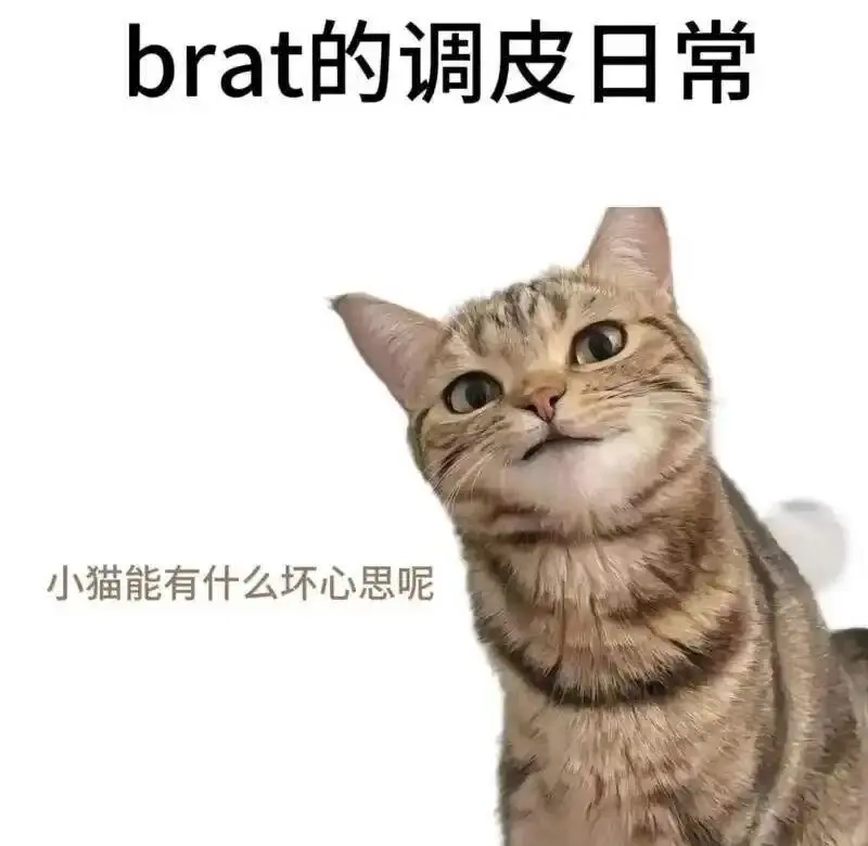 西檬之家管教是什么?字母圈新人必须了解的核心概念 一