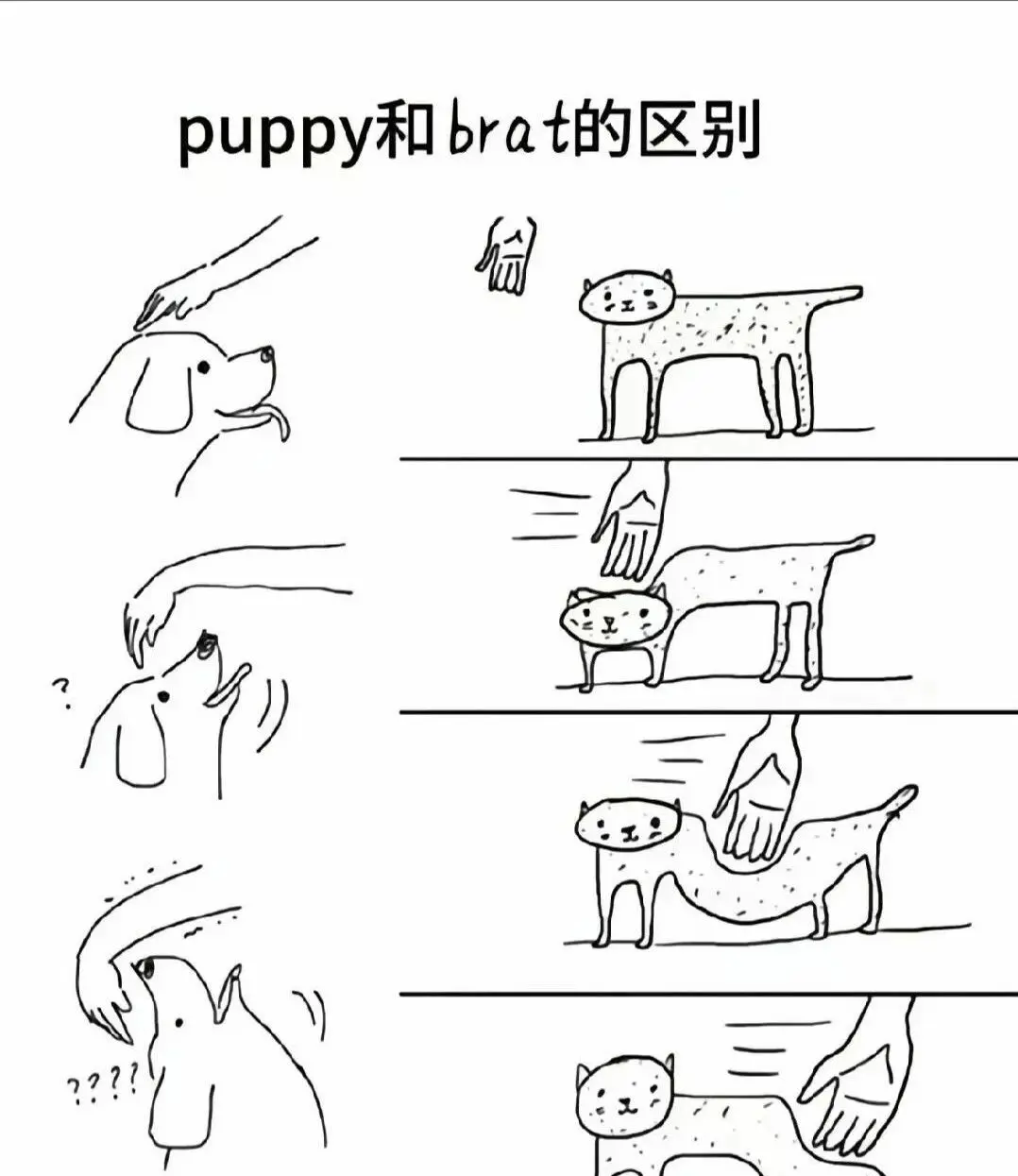 西檬之家字母圈的dirty talk是什么? 一