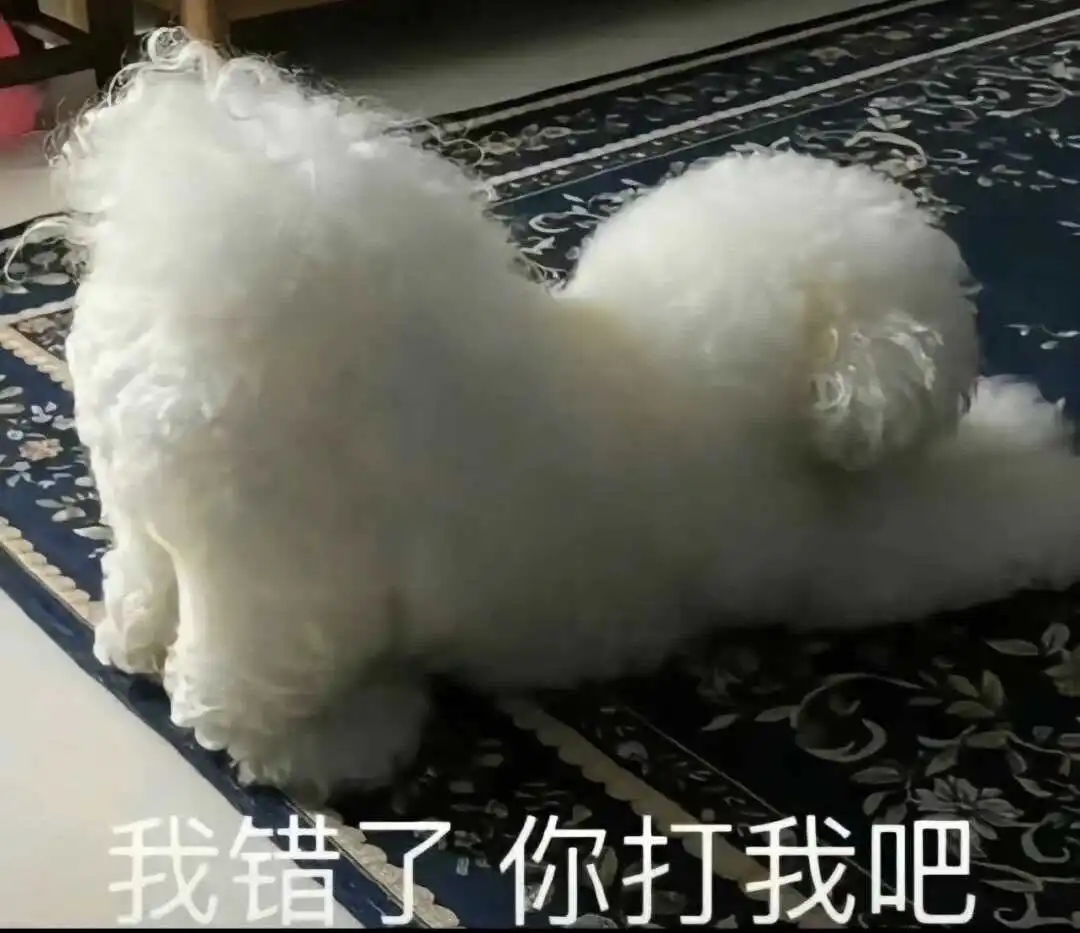 西檬之家字母圈的小圈是什么?你属于哪个圈子? 一
