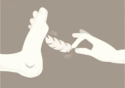 西檬之家DS关系是什么意思? 一
