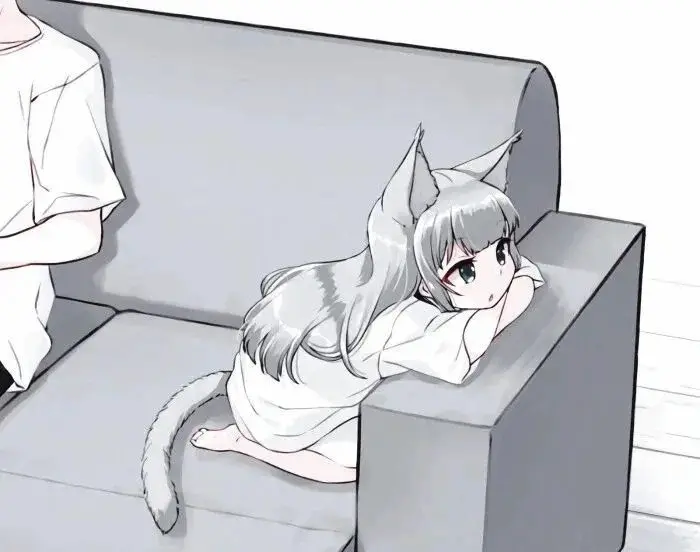 西檬之家k8猫系是什么?字母圈萌新必看 一