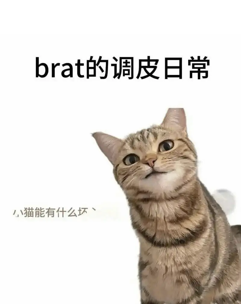 西檬之家Dirty Talk是什么? 一