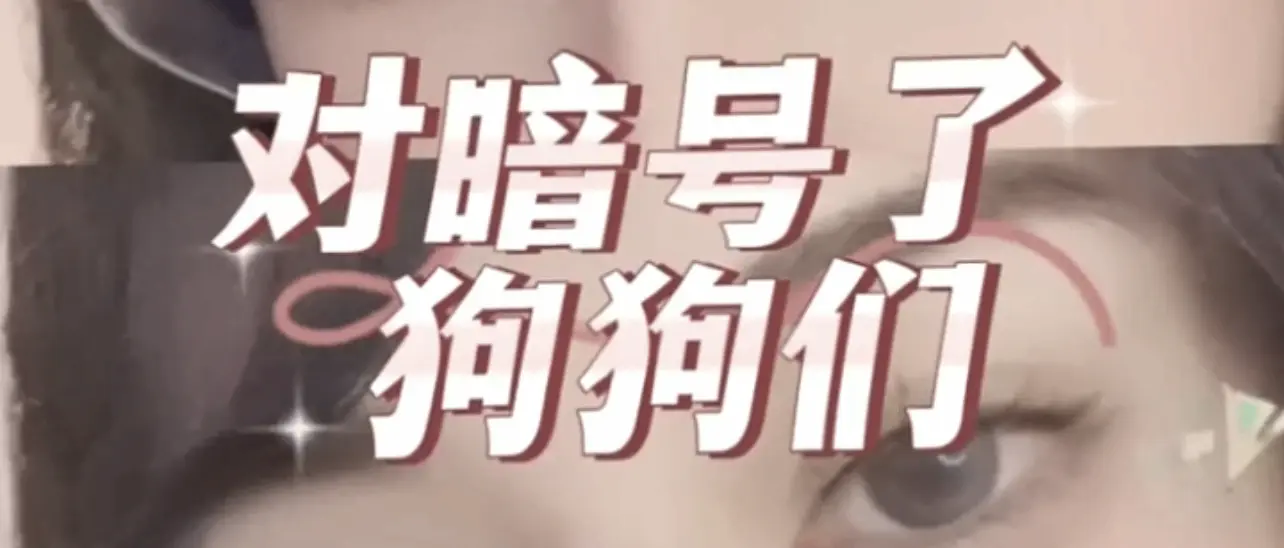 西檬之家TS是什么意思?字母圈跨性别新手指南 一