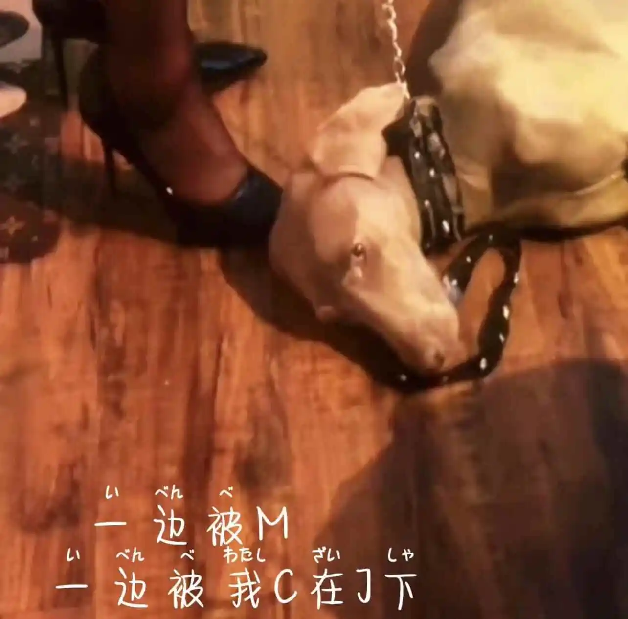 西檬之家字母圈新人如何安全入圈 一